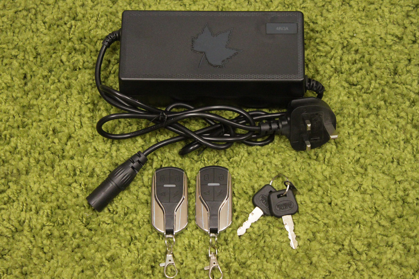 1000W Complete Conversion Service