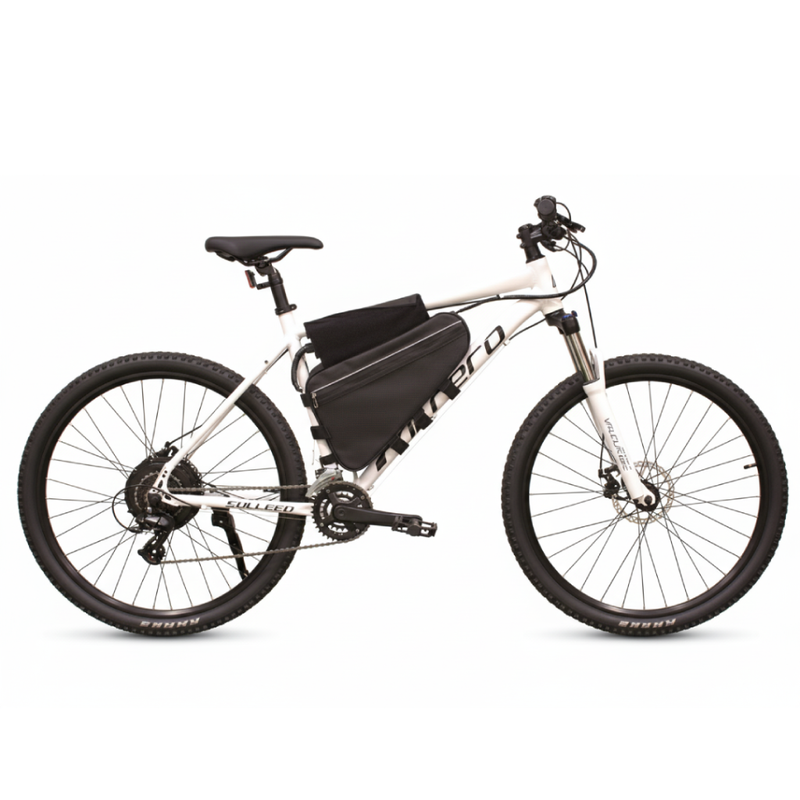 1000W Conversion Service