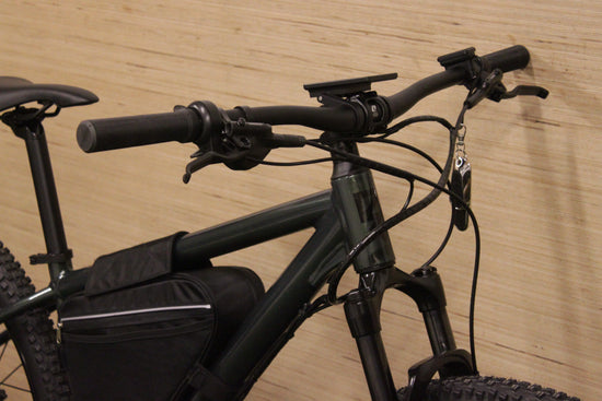 E-MTB 29
