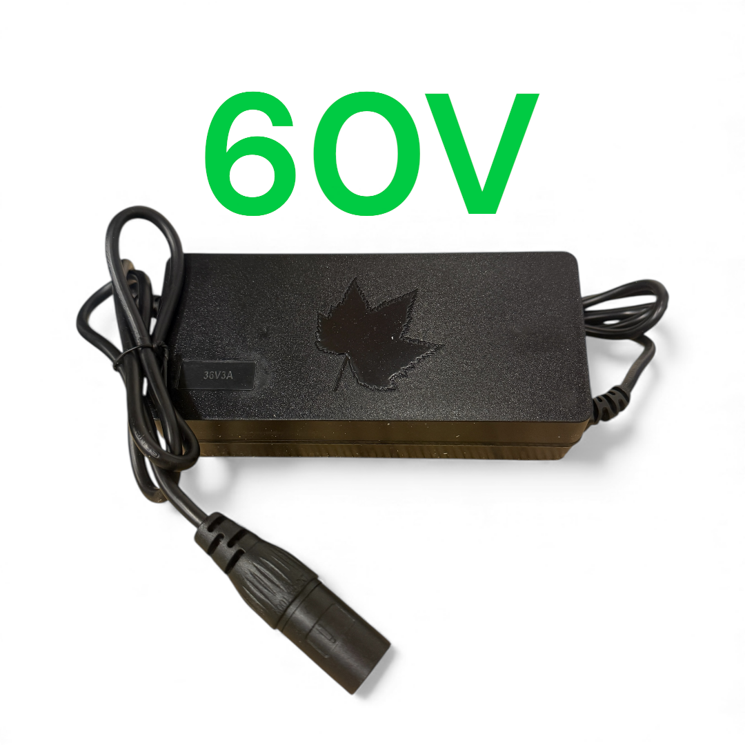 60V Charger
