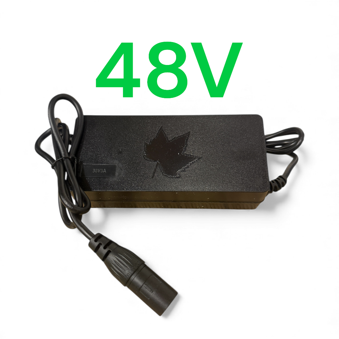 48V Charger