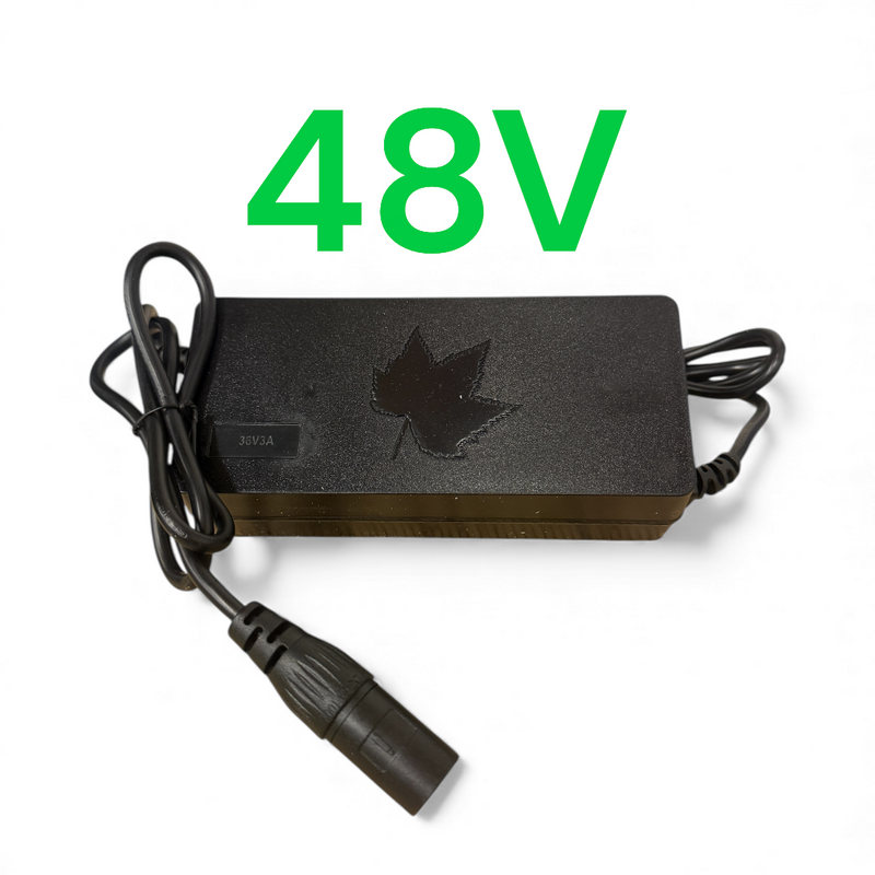 48V Charger