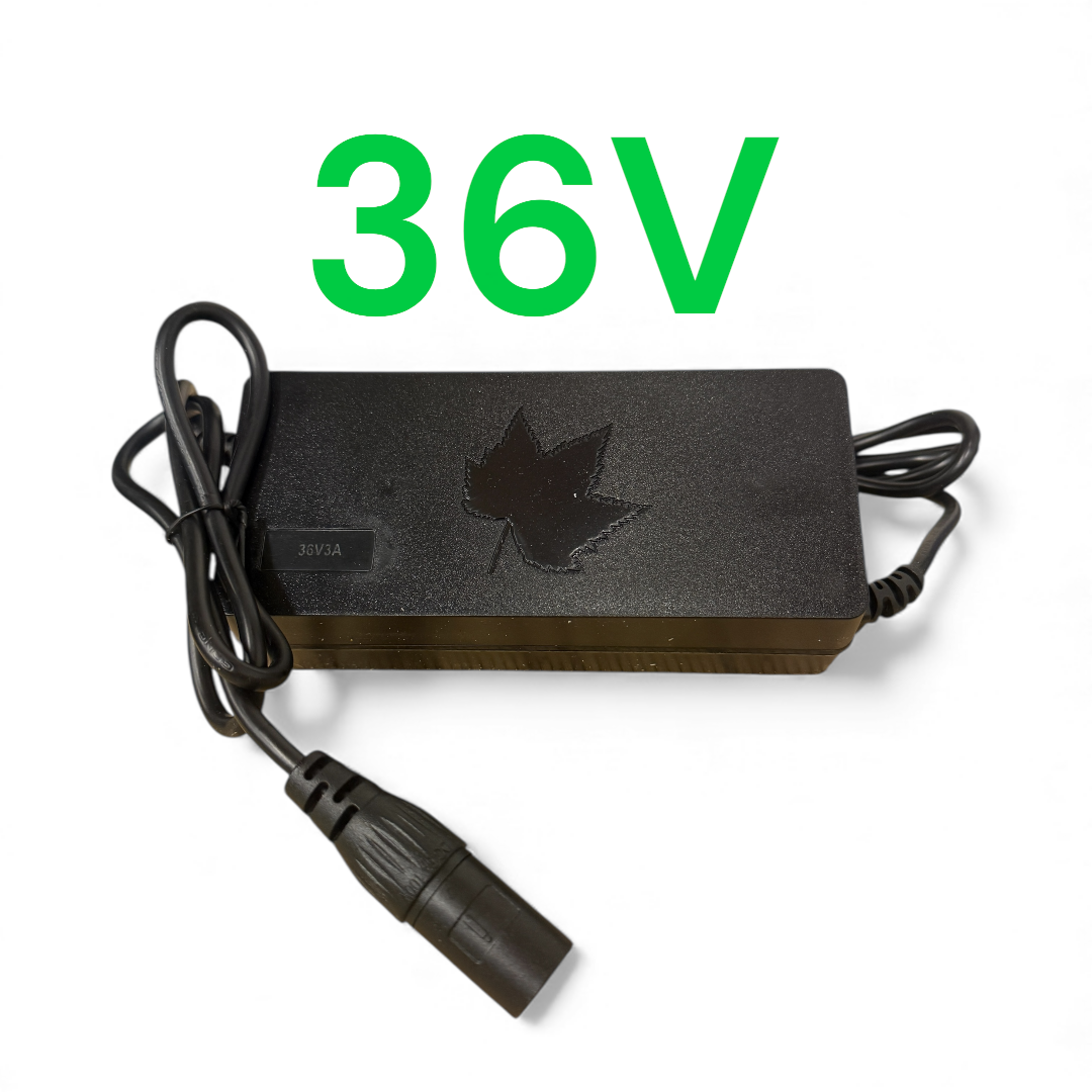 36V Charger